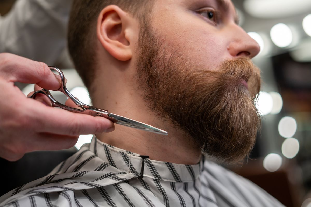 Close-up shear work along a full beard